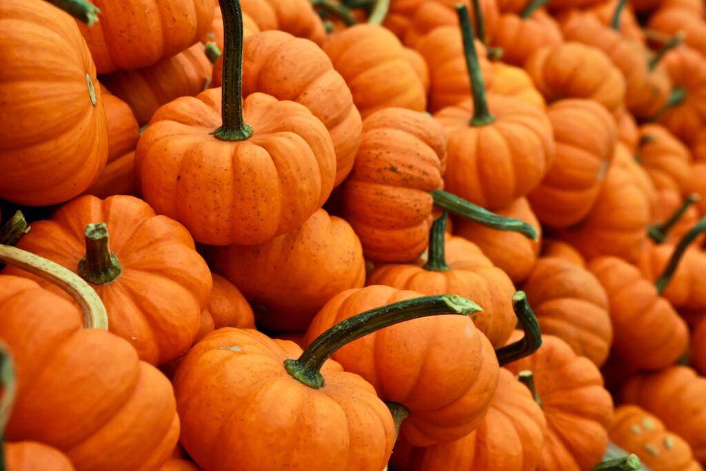 Download Free Halloween Pumpkin Images