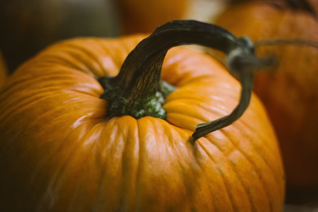 Halloween Pumpkin Photos