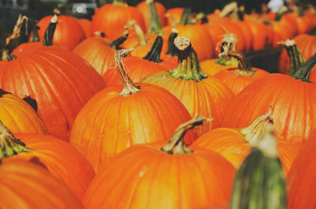 Halloween pumpkin carving
