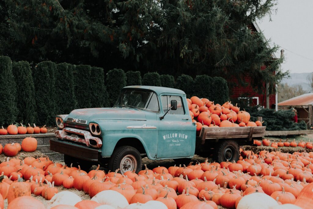 Pumpkin Halloween Pictures in Truck