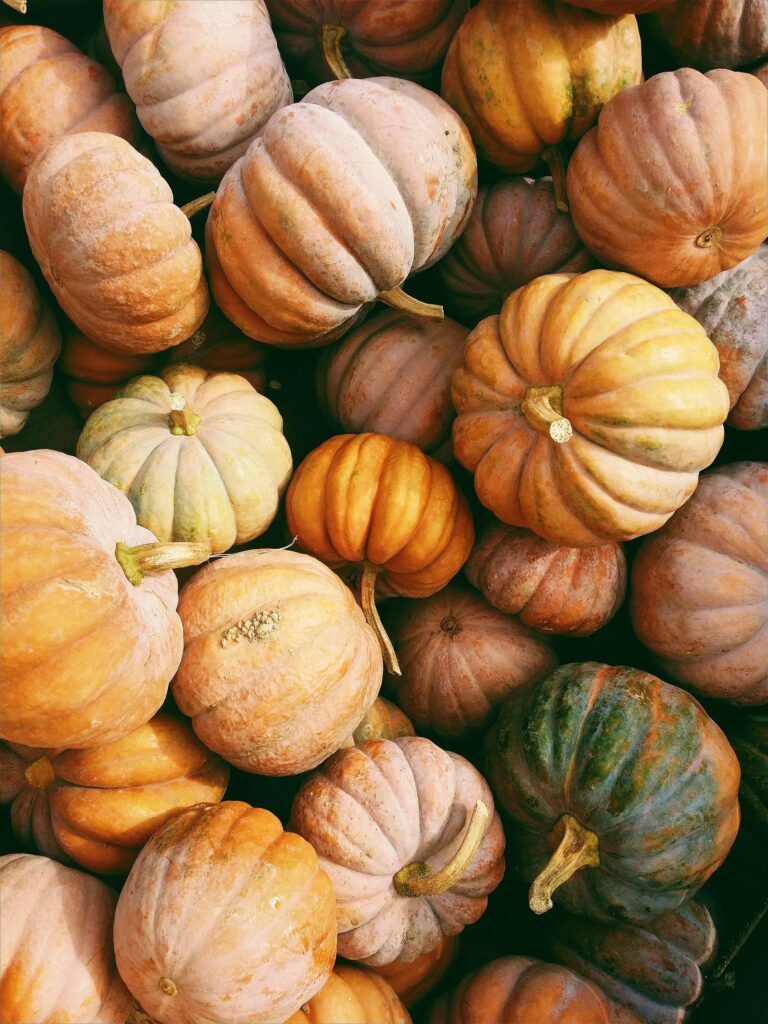 A lot of yellow pumpkin in the one frame 