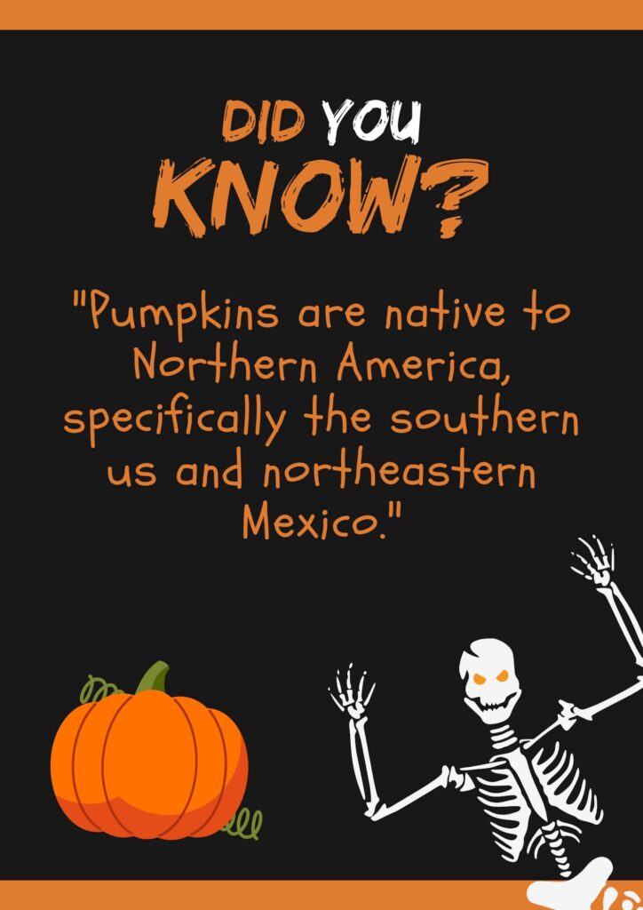 information about pumpkins for kids