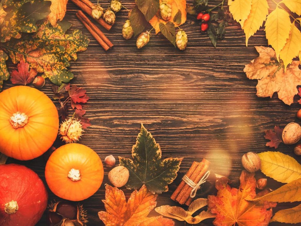 thanksgiving 2021 backgrounds