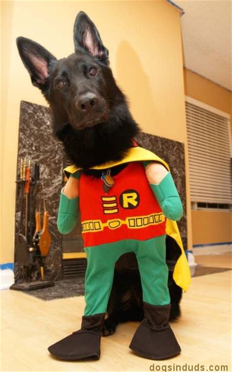 german shepherd dog costume