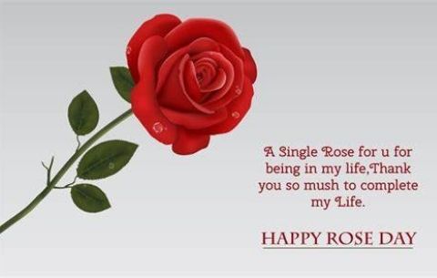 happy rose day images