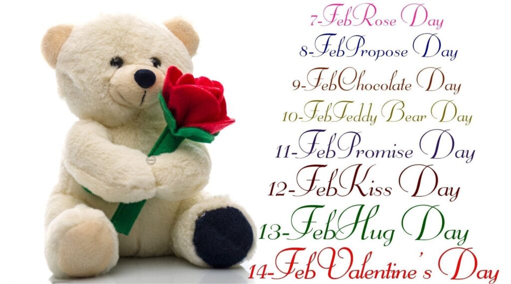 teddy bear images