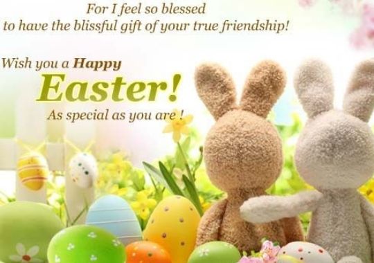 funny easter bunny quotes