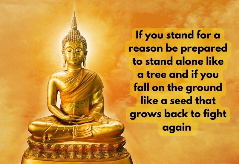 Image of Buddha quotes on silence
