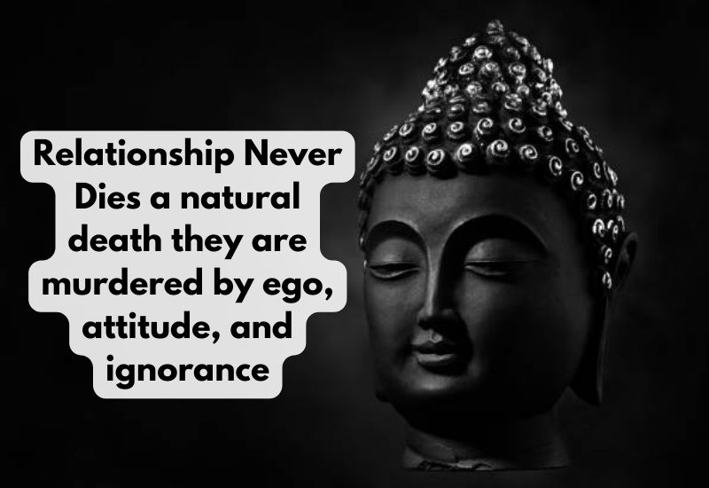 lord buddha quotes