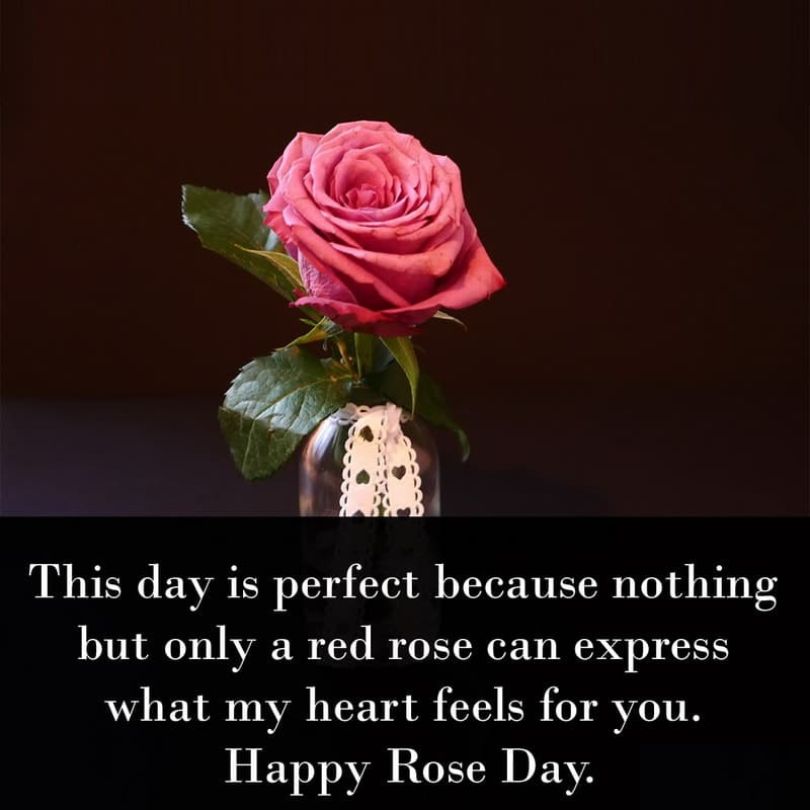 happy rose day date