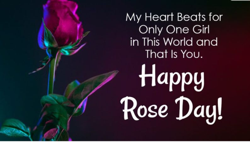 happy rose day wishes 2023