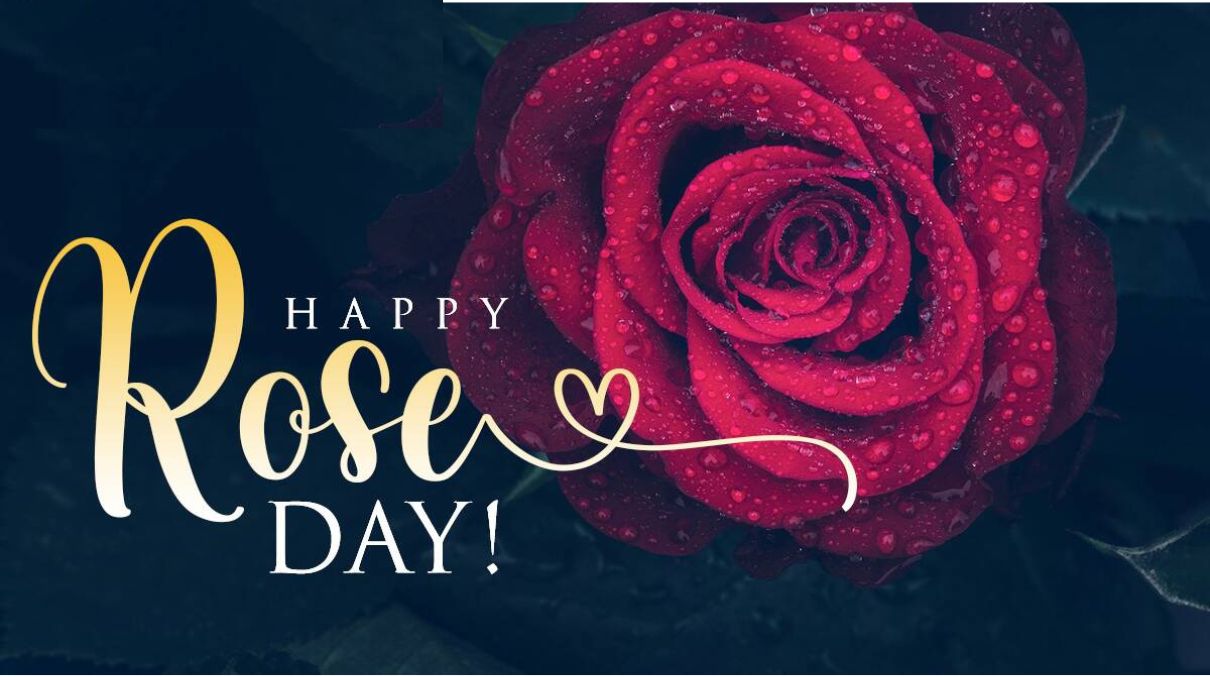 happy rose day wishes quotes for my love