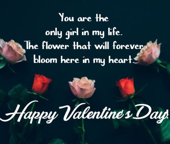 happy valentines day wishes quotes