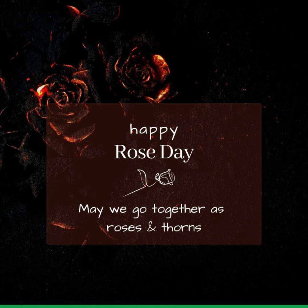 rose day images i love you