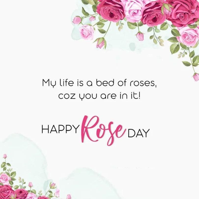 what is happy rose day