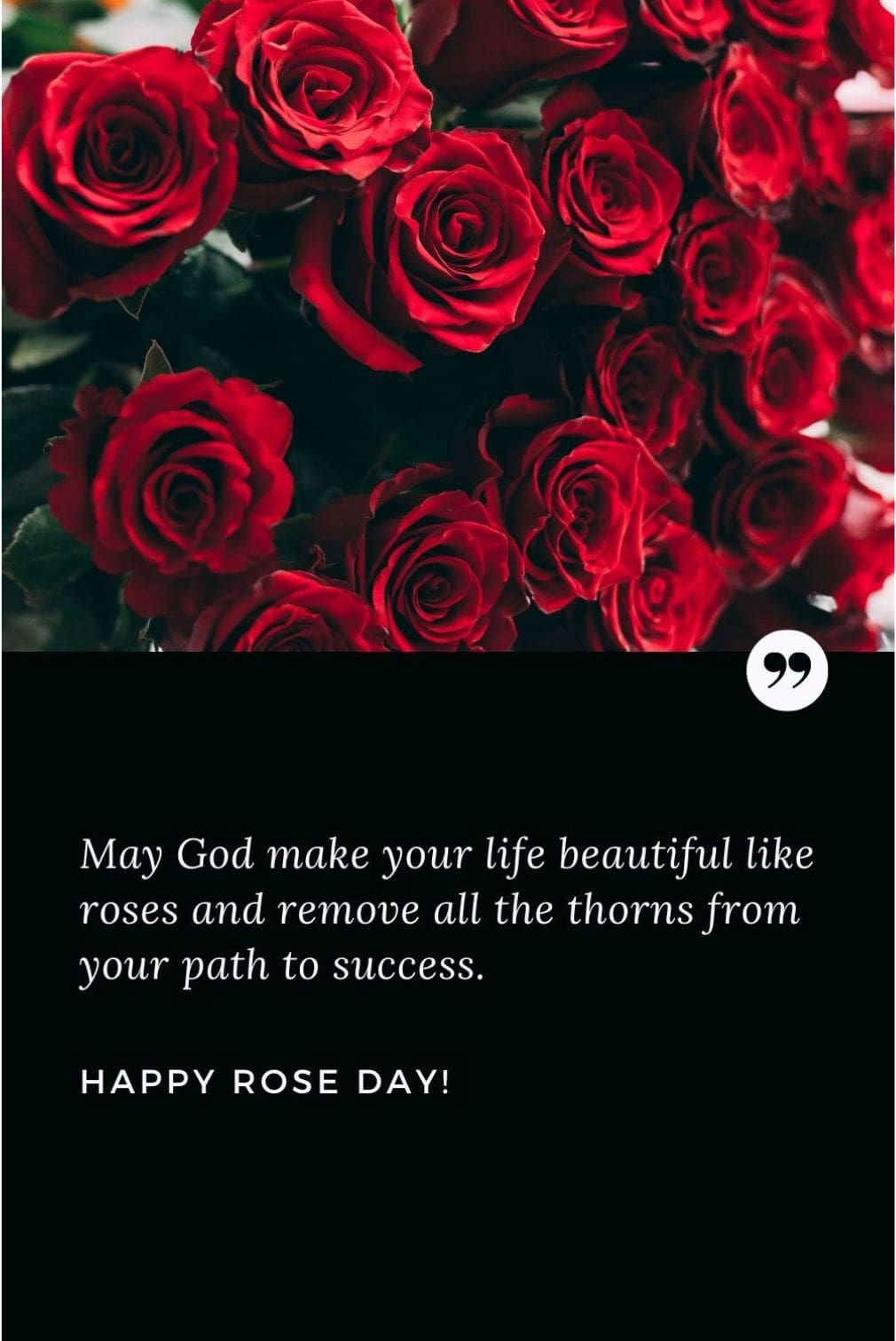 when happy rose day