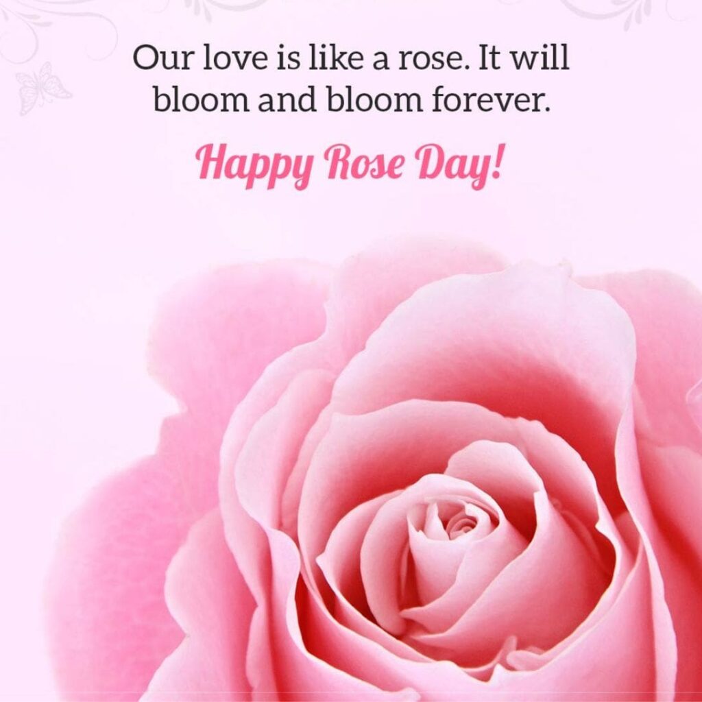 which date is happy rose day