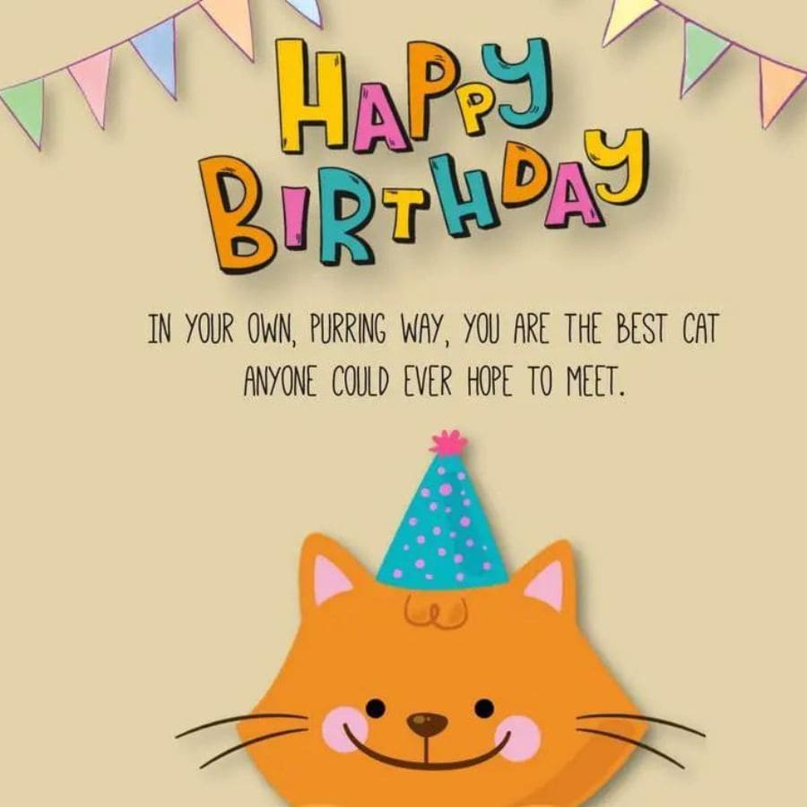 Birthday Wishes for Pet Cat