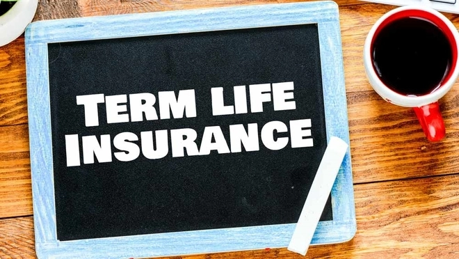 Best Term Life Insurance Options for Seniors
