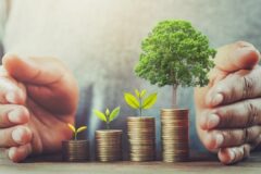 Sustainable Investment Options for Eco-Conscious Investors